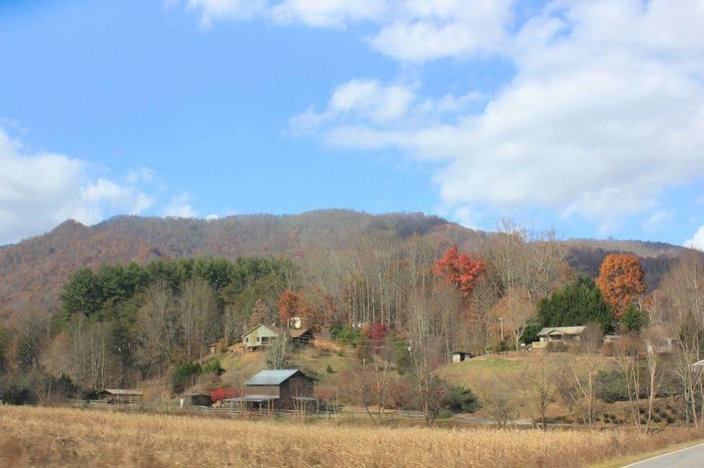 The Yellow House On Plott Creek Waynesville
